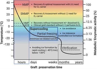 Supercooling: a promising technique for prolonged preservation in solid organ transplantation, and early perspectives in vascularized composite allografts